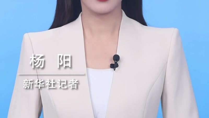 在评估软件外包开发公司的技术实力时，以下指标尤为重要：